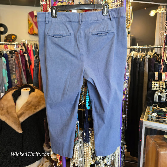 LOFT Blue Pants 16p