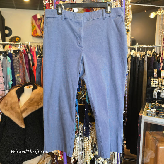LOFT Blue Pants 16p